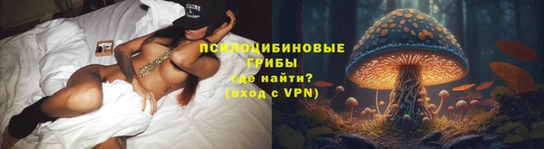 ГАЛЛЮЦИНОГЕННЫЕ ГРИБЫ Хадыженск
